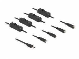 Cablu USB Type-C la 4 x DC 5.5 x 2.1 mm cu switch T-M 1m, Delock 86802